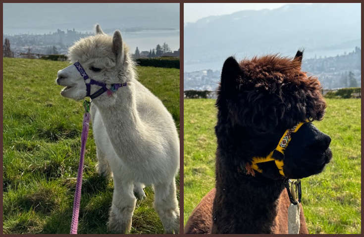 Salina                        und                       Marino