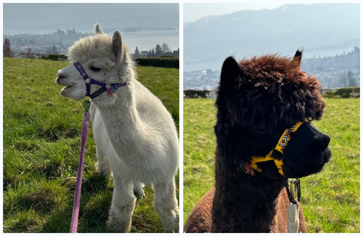 Salina                        und                       Marino